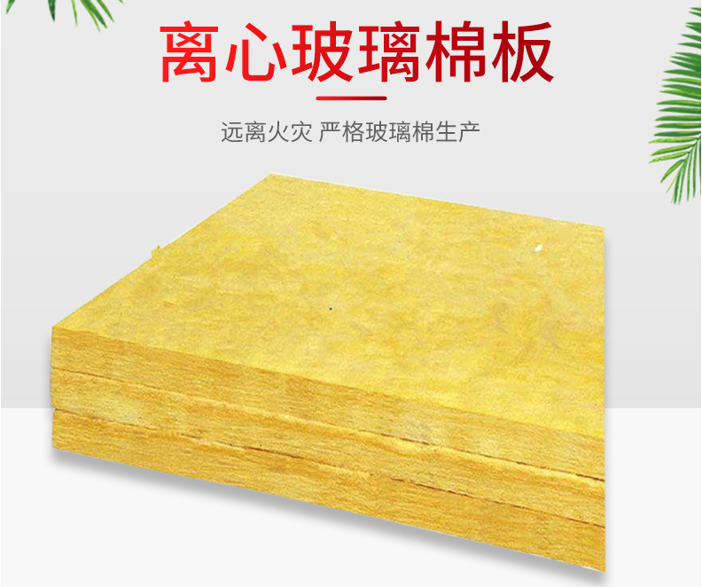 圖片5