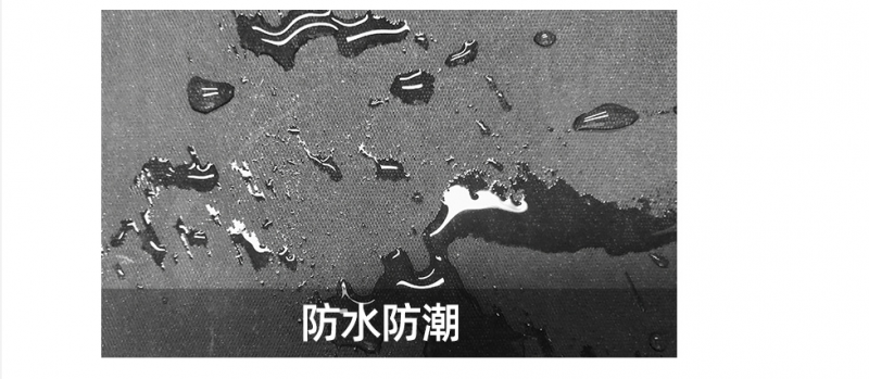 圖片7